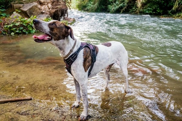 Come posso mitigare il rischio di vacanza nelle proprietà locative?